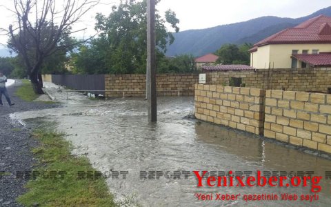В Загатале селевые потоки затопили дома