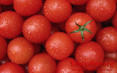 Rusiya Azərbaycan pomidorlarını geri qaytardı