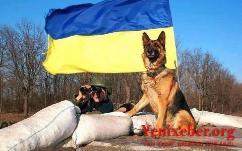ВС Украины освободили село в Николаевской области