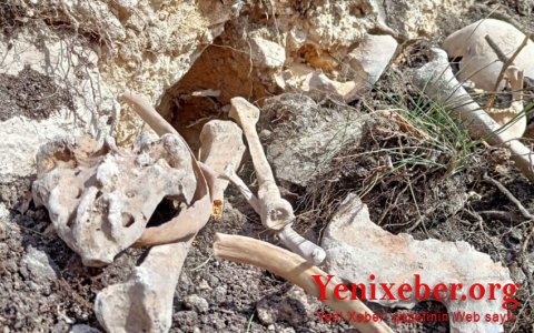 Омбудсмен распространила информацию относительно обнаружения останков в селе Фаррух