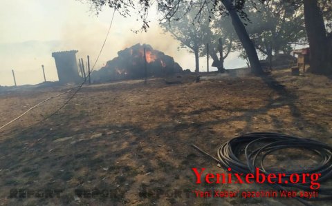 В Шабрани лесной пожар перекинулся на жилые дома