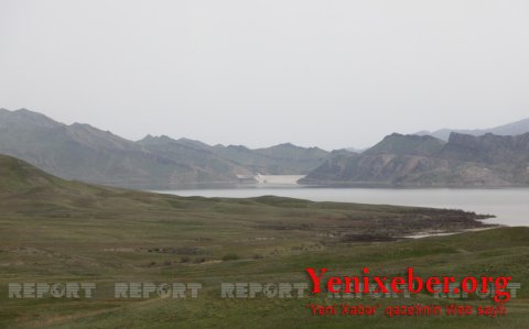 Азербайджан планирует разводить яков в Карабахе
