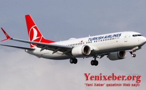Turkish Airlines отменили почти 240 рейсов из Стамбульского аэропорта