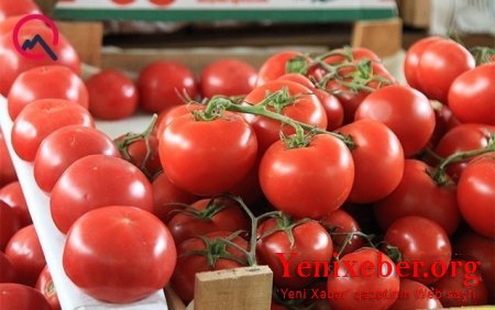 Pomidor niyə bahalaşıb?