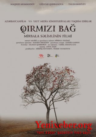 Filmlərimiz Türkiyənin beynəlxalq film festivalında