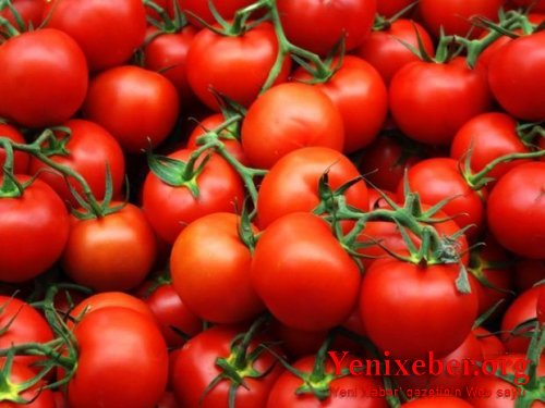 33 ton Azərbaycan pomidoru niyə geri qaytarıldı?