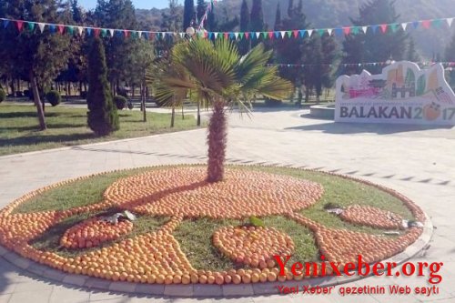 Balakəndə “Beynəlxalq xurma festivalı” keçirildi -