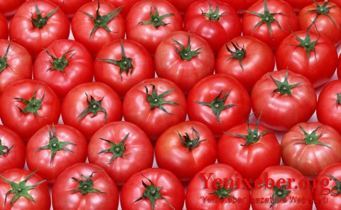 Rusiya Türkiyə pomidorları ilə bağlı sərt danışdı: