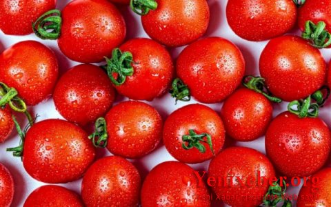 Rusiya bazarına “ilk” qayıdan pomidor istehsalçısı