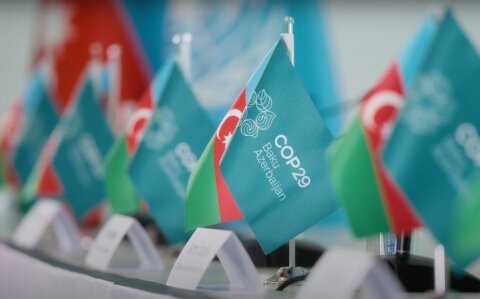 COP29 qlobal səviyyədə istixana qaz emissiyalarının balansını təmin edəcək –