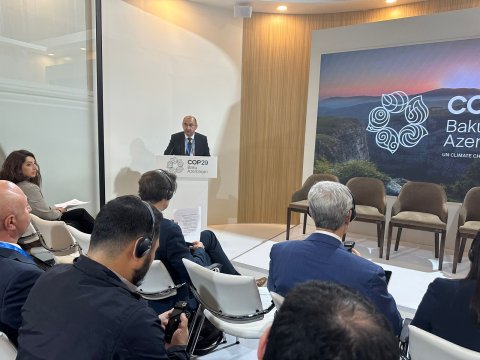 COP29-da iqlim dəyişikliyi və biomüxtəliflik əlaqələrinin müzakirəsi