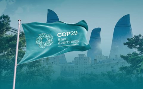 COP29-da ən çox kiberhücum bu saytlara olub