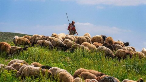 Çobanın meyiti tapıldı