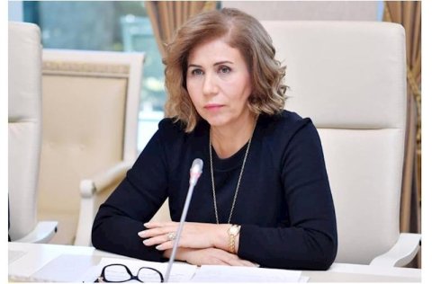 Xarici dildə təhsil verən müəssisələrdə Azərbaycan dilində dərsliklərin olması vacibdir