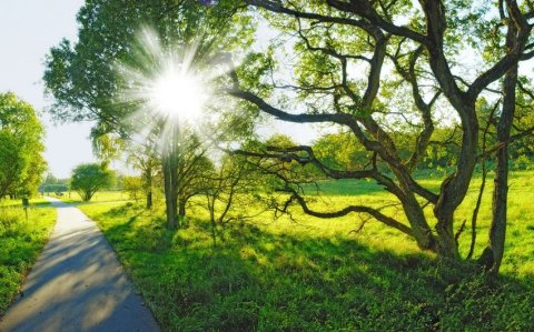 Bazar günü havanın temperaturu 30 dərəcəyədək yüksələcək