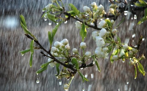 Əksər rayonlarda yağıntılı və küləkli hava davam edir -