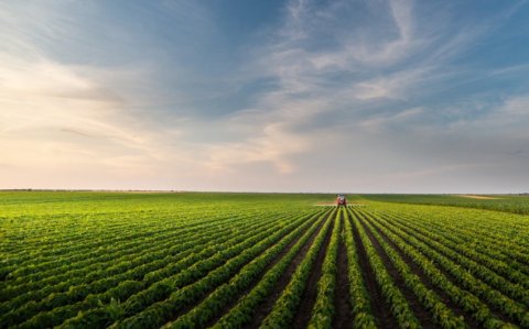 Aqrar sahənin kreditləşməsi ilə bağlı müxtəlif çətinliklər mövcuddur