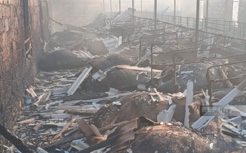 Salyanda fermada yanğın olub, 45 baş iribuynuzlu heyvan, 7 min ədəd ot bağlaması yanıb