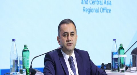 Azərbaycanda təhsil alan tələbə qızların sayı açıqlanıb