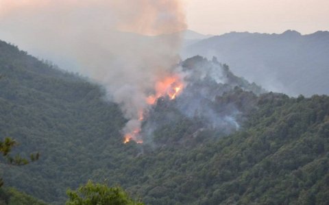 İstanbulda meşə yanğınları səbəbindən pirotexniki vasitələrin satışı və istifadəsi qadağan edilib