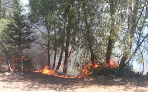 Laçının Güləbird kəndində mürəkkəb relyefli dağlıq ərazidə yanğın olub
