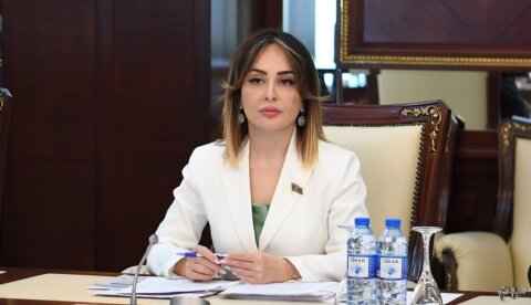 Dövlət xidmətləri haqqında qanuna niyə ehtiyac yaranıb? -