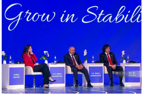 Cənubi Qafqaz ölkələrinin taleləri müəyyən dərəcədə bir-biri ilə bağlıdır