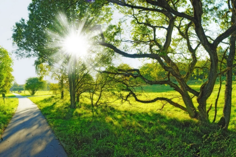 Sabah 24 dərəcə isti olacaq -