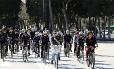 QHT-lərə Dövlət Dəstəyi Agentliyi media təşkilatı adı ilə “piy” əridir - 