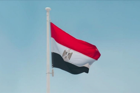 Misir Sülh Şurasına daxil olmaqla bağlı dəvəti qəbul edib