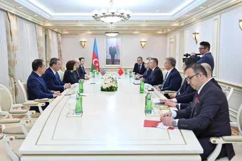 Sahibə Qafarova TBMM-nin Xarici əlaqələr komitəsinin sədri ilə görüşüb