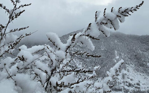 Azərbaycanda havanın temperaturu aşağı düşəcək, sulu qar, qar yağacaq -