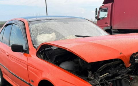 Bakı-Qazax yolunda ağır qəza -