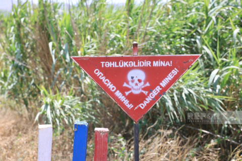 Həlak olan minatəmizləyənlərin övladlarının təhsilhaqlarının dövlət hesabına ödənilməsi təklifi ilk oxunuşda qəbul edilib