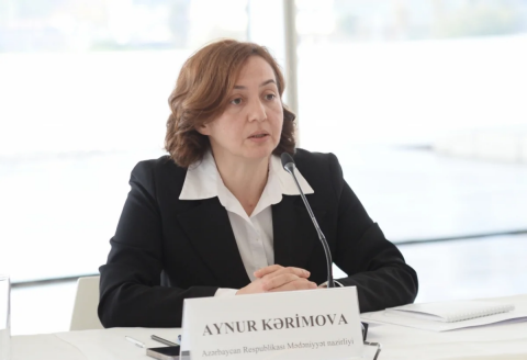 Mədəniyyət Nazirliyində struktur dəyişikliyi olub, Aynur Kərimova sektor müdiri təyin edilib